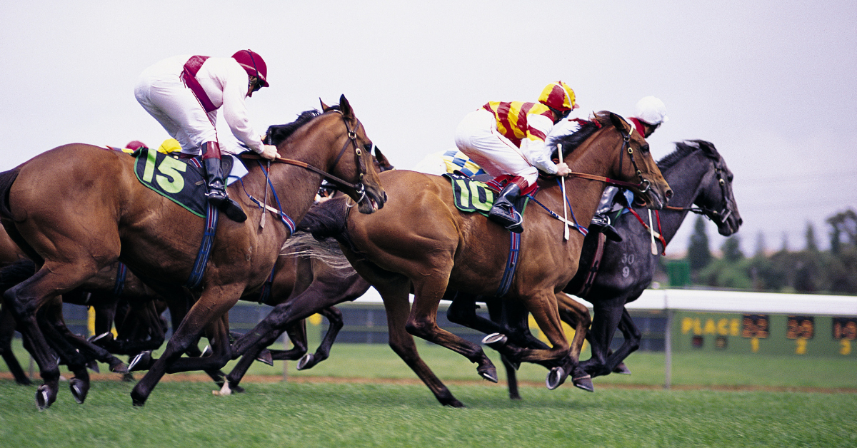 understanding-common-distances-in-horse-racing